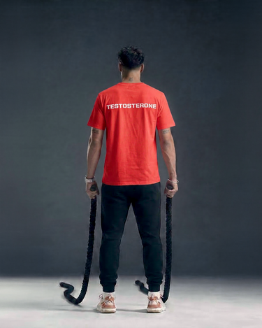 The Testosterone Tee