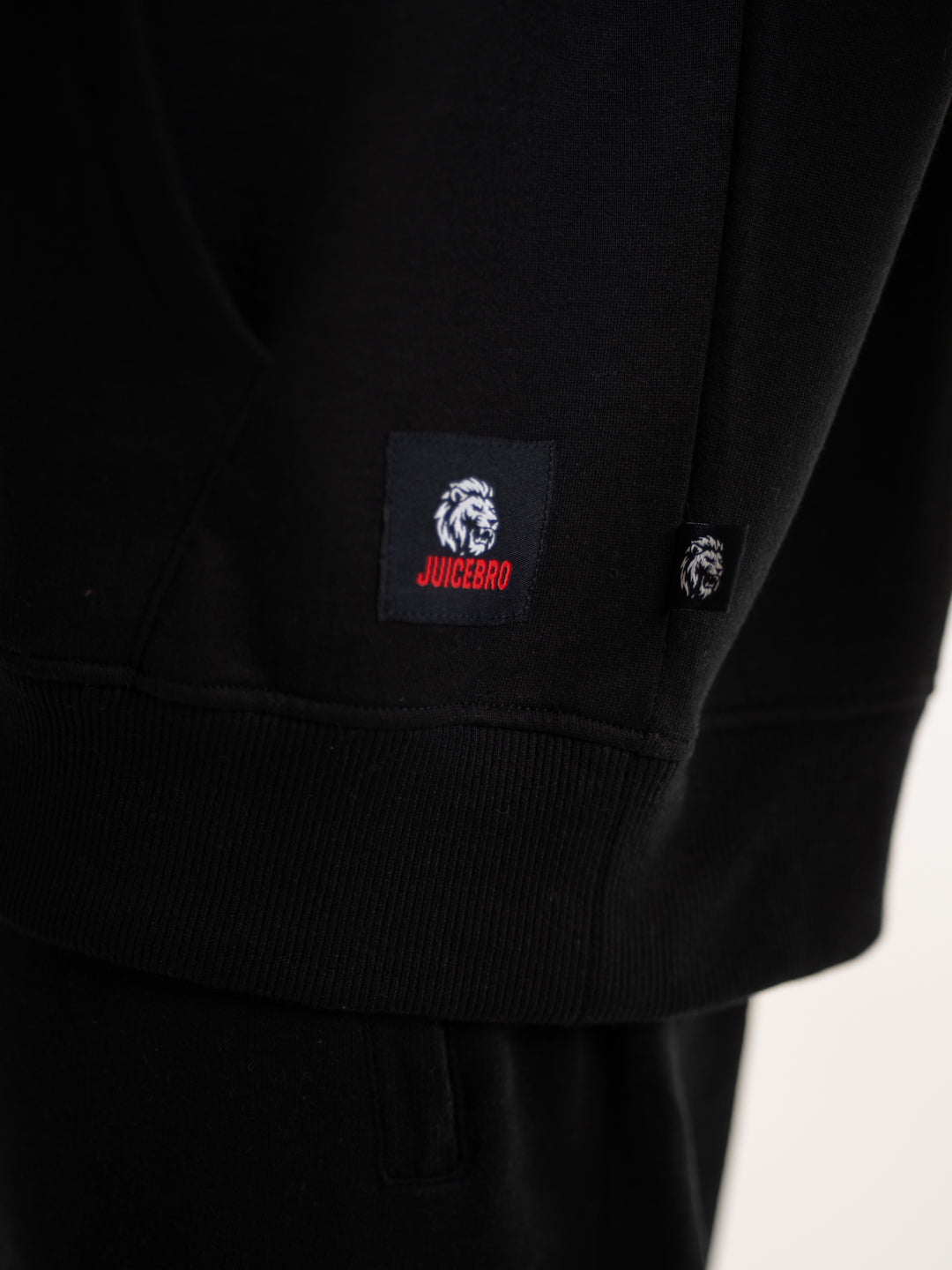 The Lion Logo Pullover Hoodie